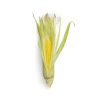 Organic Corn Bio 1